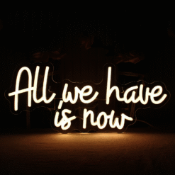 Neon All We Have Is Now