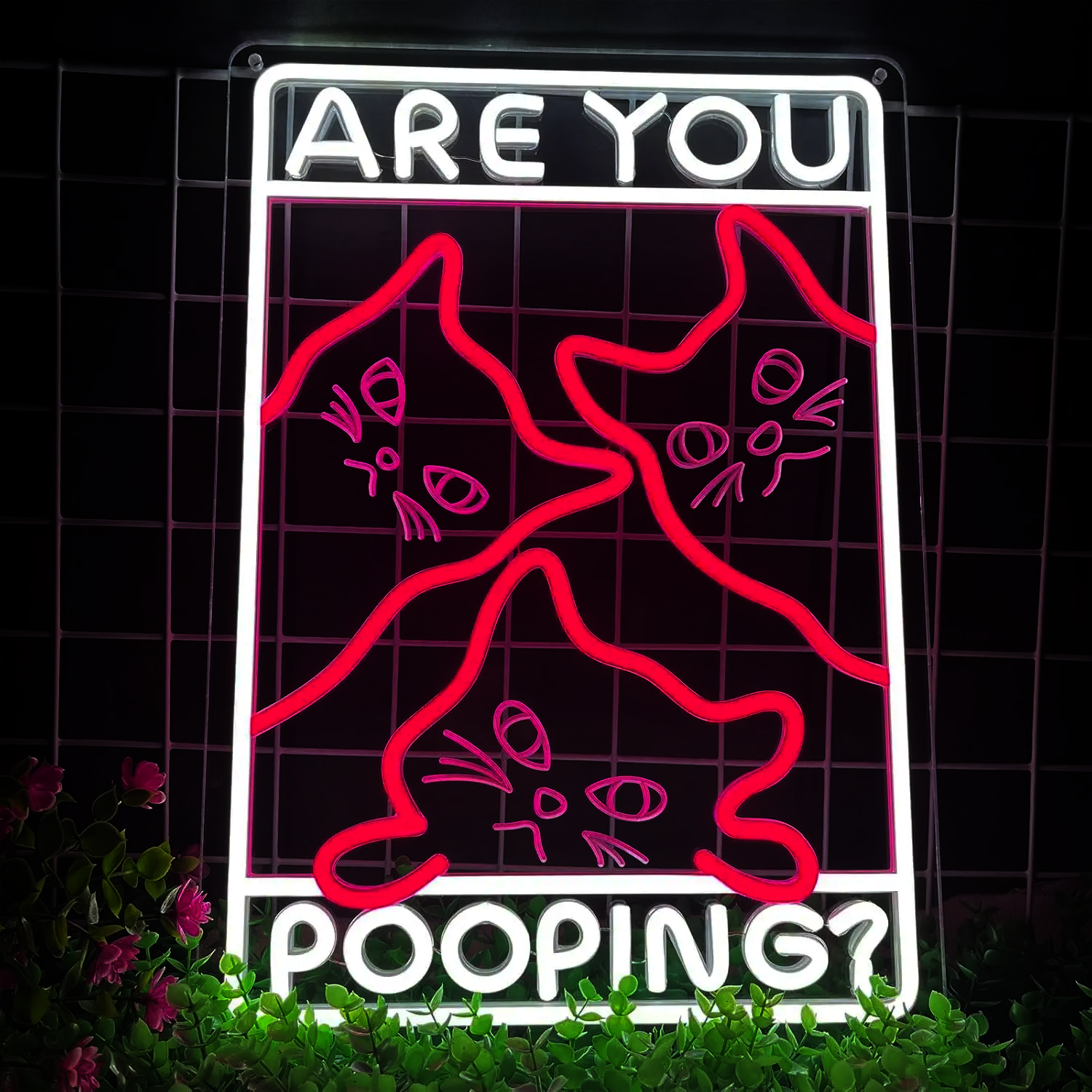 Neon Are You Pooping Chats