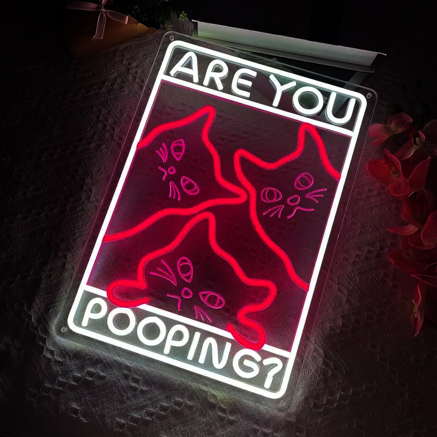 Neon Are You Pooping Chats