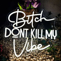 Neon Bitch Don’t Kill My Vibe