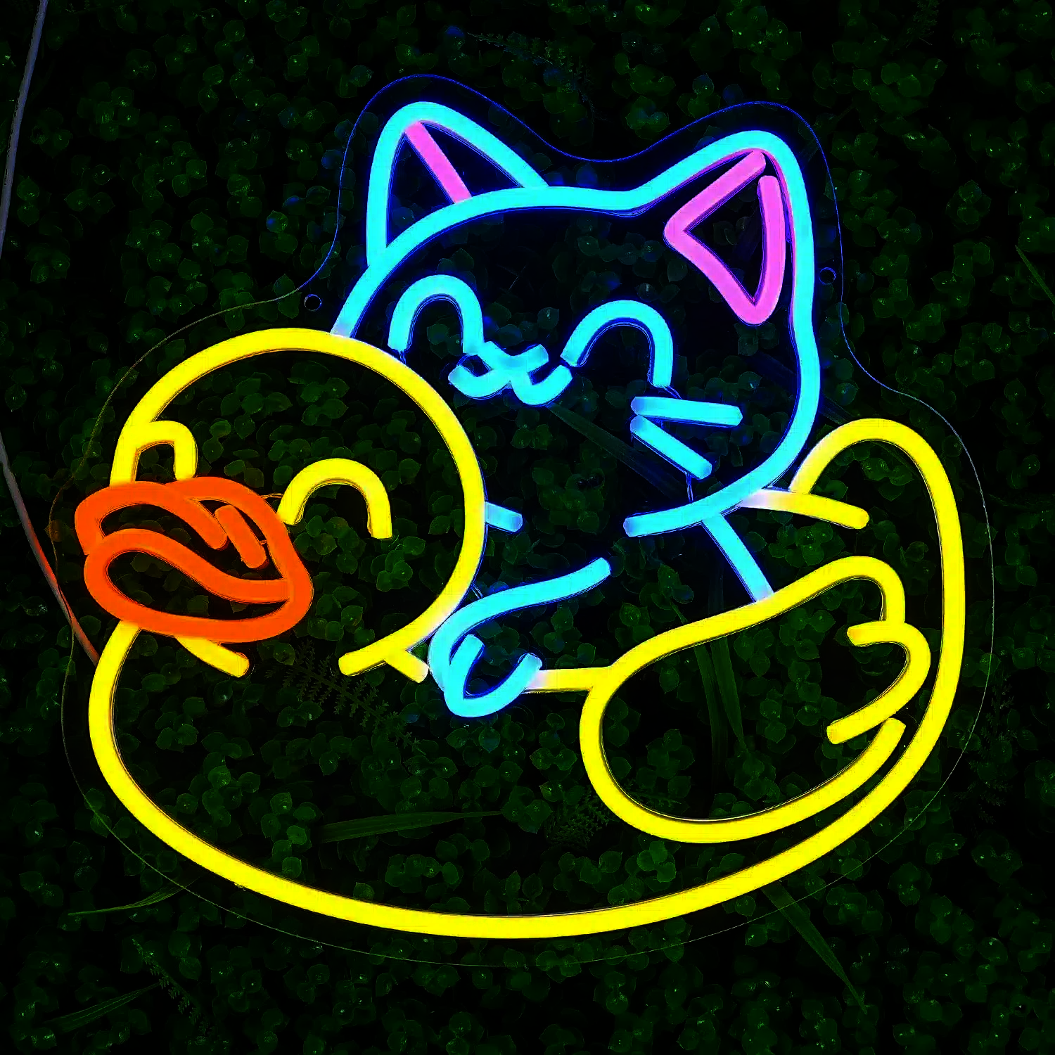 Neon Chat Bouée Canard