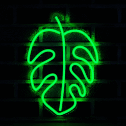 Neon Feuille Monstera