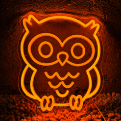 Neon Hibou