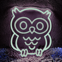 Neon Hibou