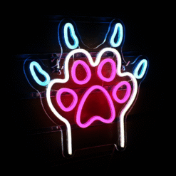 Neon Patte Chat